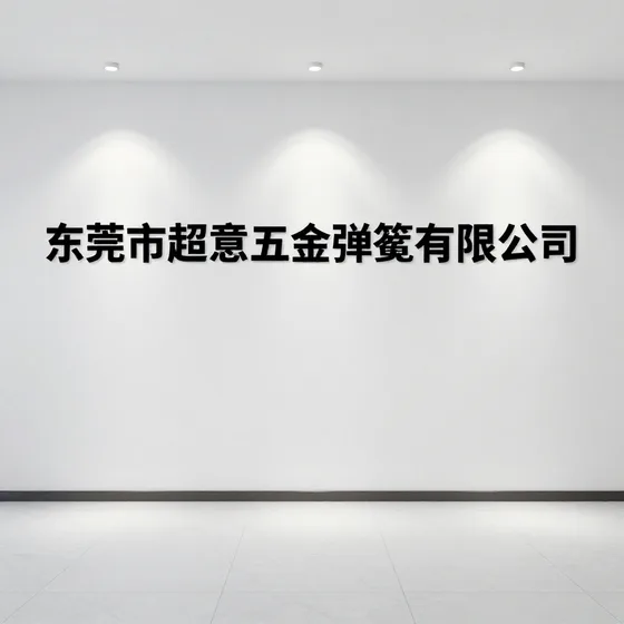 软件公司